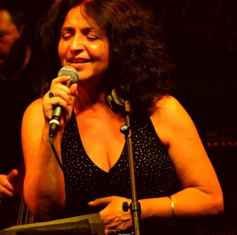 Photo de Manu Le Prince en concert